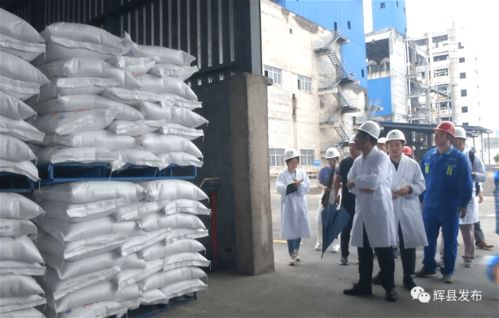 辉县3家单位环保整改不力被通报 国家应急管理部深入辉县检查 企业