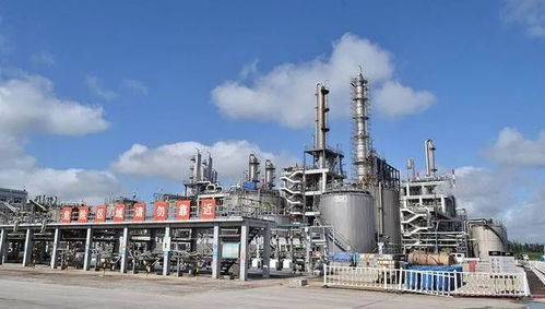 青岛海湾精细化工热电厂仓库2.14火灾事故 一般事故的警示与责任