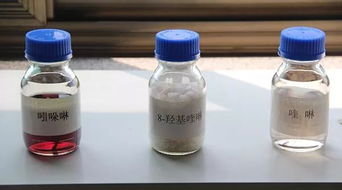厉害了 磁县这两家企业在首届中国国际进口博览会上率先签约成功